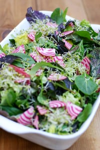 Gourmet capresalat